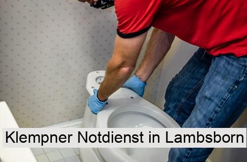 Klempner Notdienst in Lambsborn